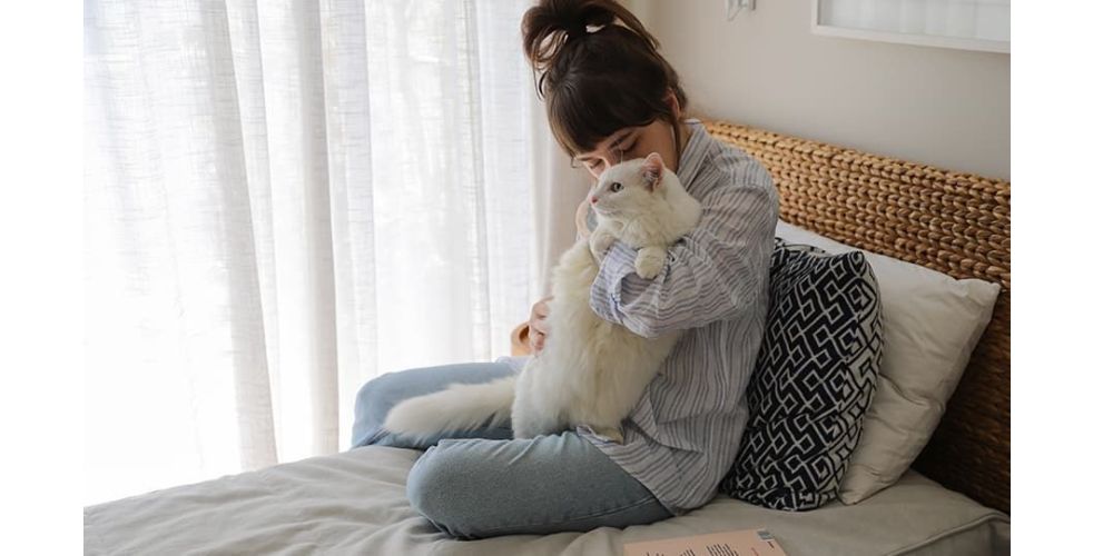 Por que os gatos não gostam de algumas pessoas? Descubra!